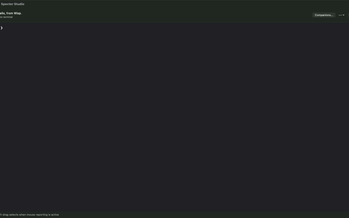 Specter Studio opening with a native macOS terminal session ready for input.